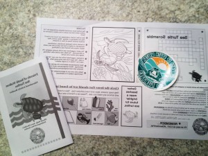 Stickers, activity books and coloring book style menus designed, printed and distributed by Friends of South Walton Sea Turtles volunteers in 2015. Materials funded by donations and distributed to Sea Turtle Friendly businesses around 30A and South Walton beaches. 