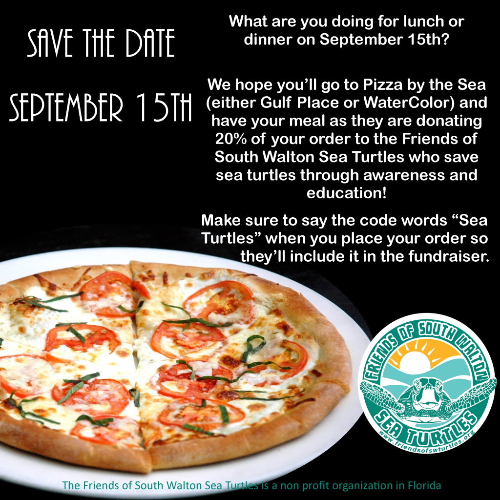 South Walton Pizza by the Sea Fundraiser for Sea Turtles